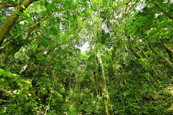 Carte de la forêt Brocéliande pour les visites : consultez des infos pratiques sur les sites à visiter