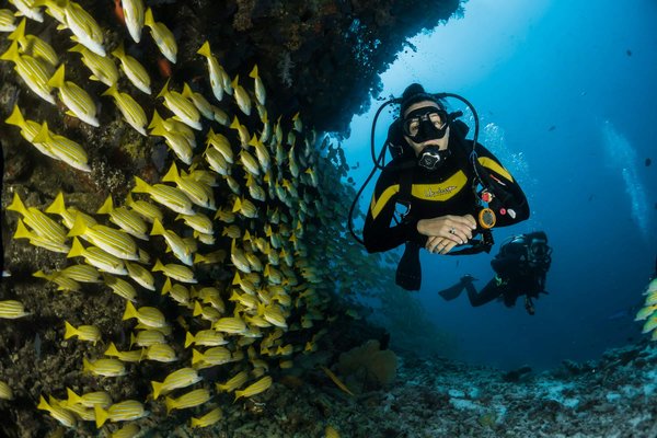 Quelle location offre des cours de plongée sous-marine à Bora Bora avec certification PADI incluse?